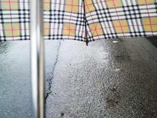 20090425131300011 20090425131300011